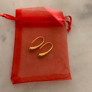 Water Droplet Earrings- Seaglass and Coral